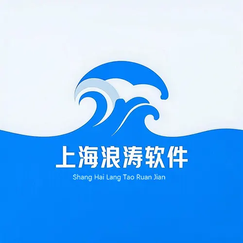 浪涛seo